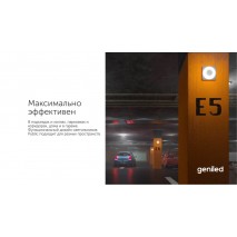 Geniled Public - лауреат премии «Золотой фотон»