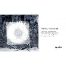 Geniled Public - лауреат премии «Золотой фотон»