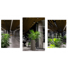 Как спасти растения на 2,5 млн рублей в офисе и не сойти с ума от розового света: кейс с Geniled Track Zoom Как спасти растения на 2,5 млн рублей в офисе и не сойти с ума от розового света: кейс с Geniled Track Zoom