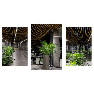 Как спасти растения на 2,5 млн рублей в офисе и не сойти с ума от розового света: кейс с Geniled Track Zoom