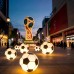 Светильник ландшафтный светящийся футбольный мяч «Чемпион»