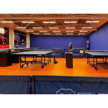 Освещение клуба настольного тенниса «BALLANCE» в городе Петрозаводске