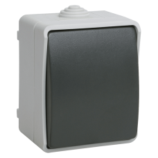 IEK ВСк20-1-0-ФСр Выключатель кнопочный для открытой установки IP54 (Арт: EVS13-K03-10-54-DC)