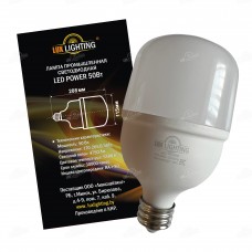 Лампа промышленная светодиодная LED POWER 50ВТ 6500K Е27/E40