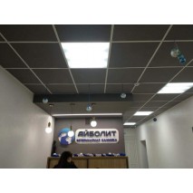 Поставка освещения под ключ для ветеринарной клиники в Барановичах