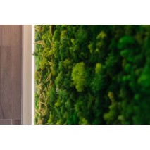 Освещение медицинского центра «Рекреаль», г. Екатеринбург