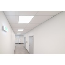 Освещение медицинского центра «Рекреаль», г. Екатеринбург