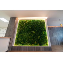 Освещение медицинского центра «Рекреаль», г. Екатеринбург