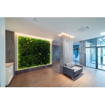 Освещение медицинского центра «Рекреаль», г. Екатеринбург