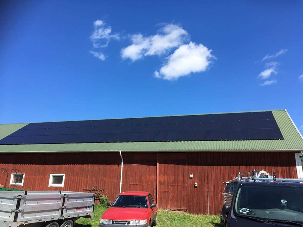 Солнечные панели для питания животноводческой фермы